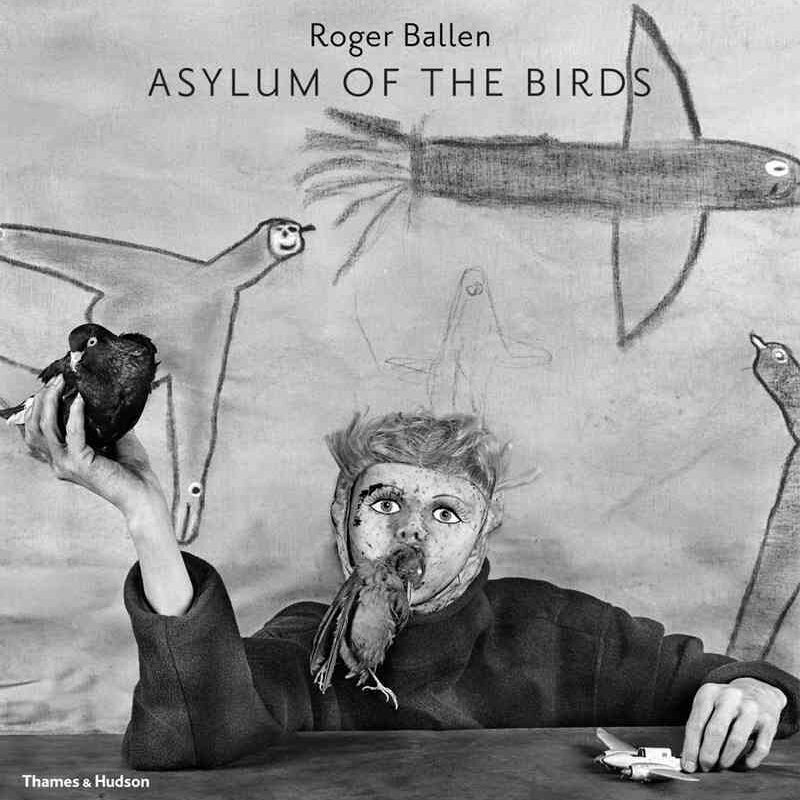 Asylum of the Birds