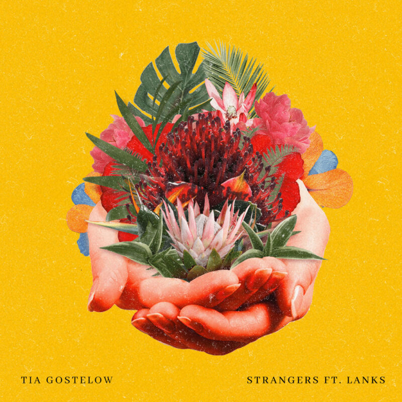 Strangers (feat. LANKS)