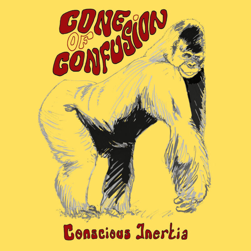 Conscious Inertia