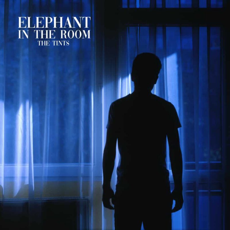 Elephant In the Room