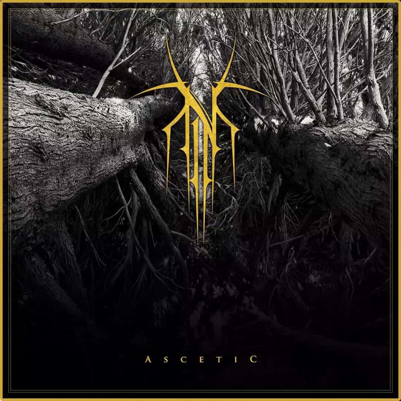 Ascetic
