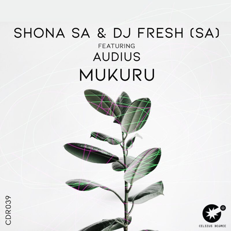 Mukuru (feat. Audius)