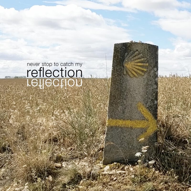 Never Stop To Catch My Reflection