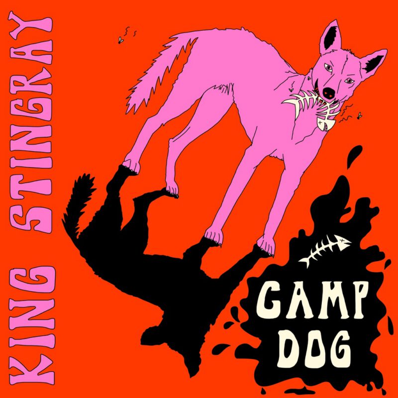 CAMP DOG