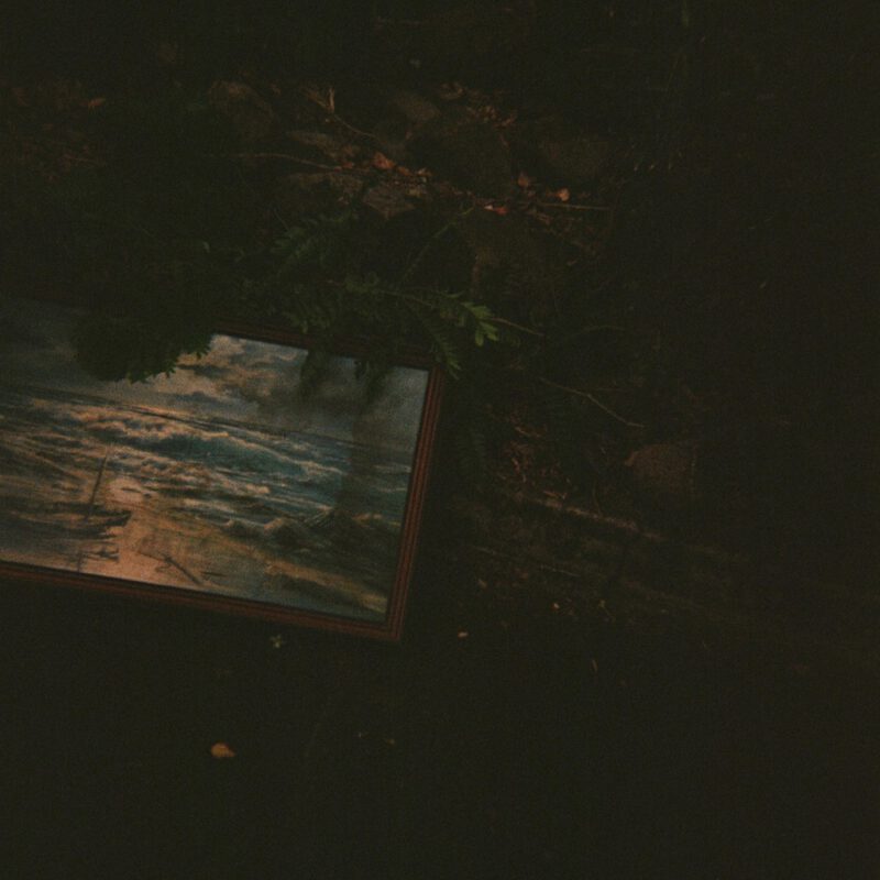 El Bosque
