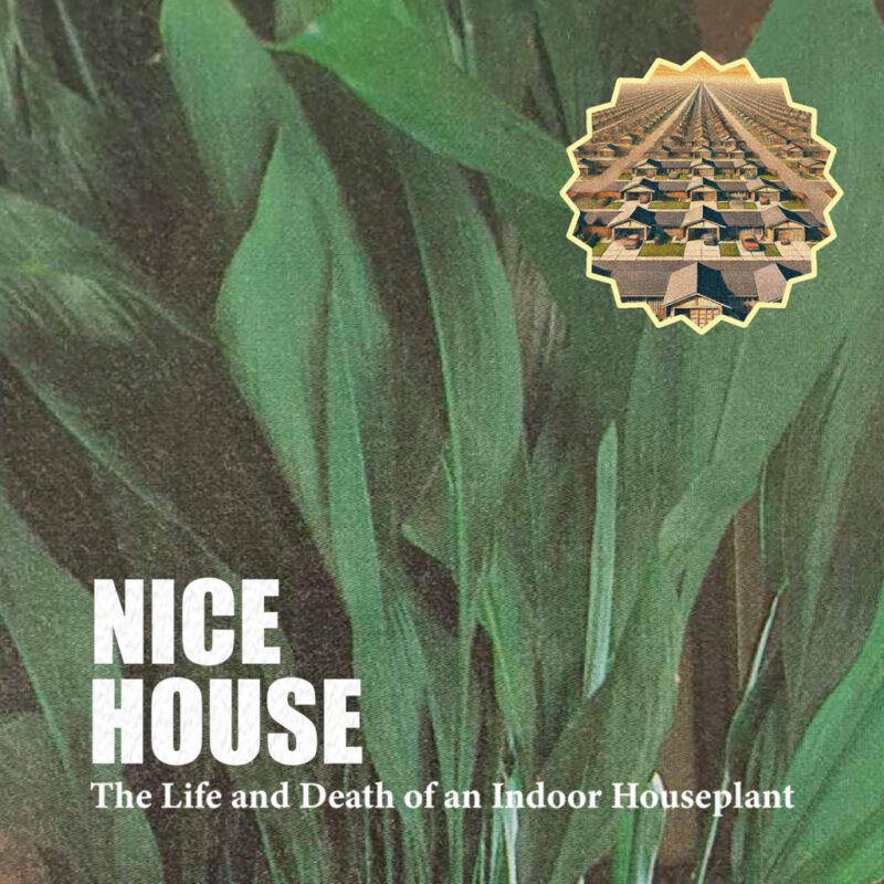 The Life and Death of an Indoor Houseplant – EP