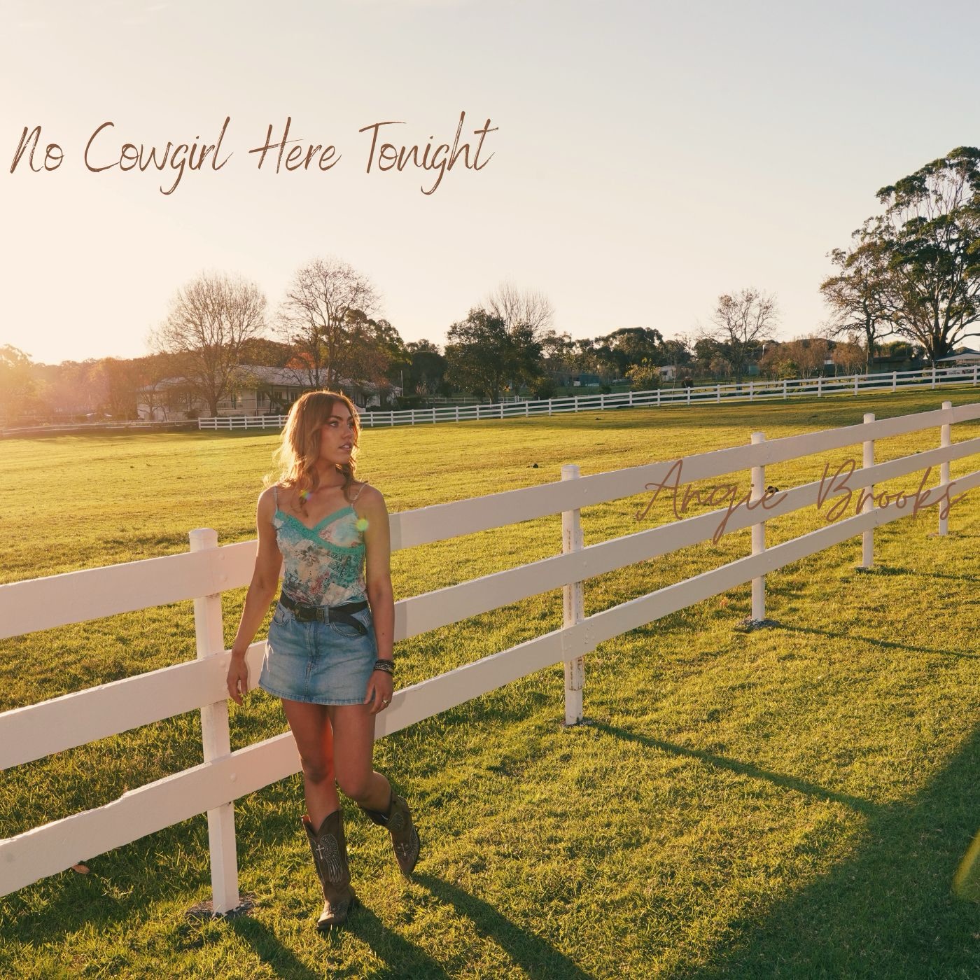 Angie Brooks No Cowgirl Here Tonight