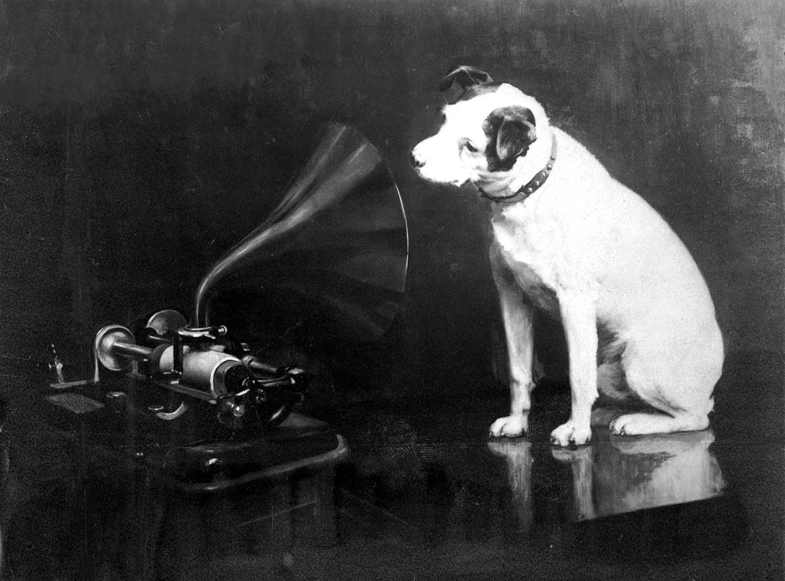 Francis Barraud's painting of Nipper the dog listening to a phonograph