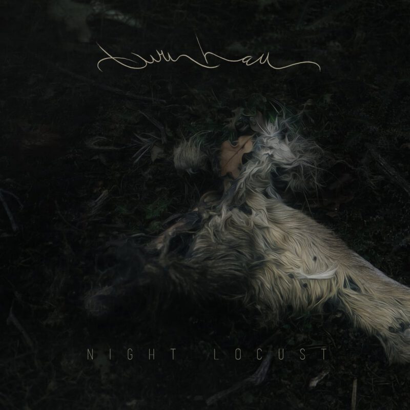 Waxen Myriad